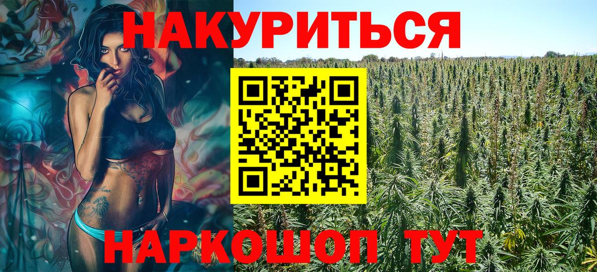 Жуковский  Канабис конопля  Марихуана план  Вход с VPN 